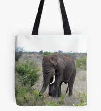 I Hear The African Continent - Elephant - Kruger National Park Tote Bag
