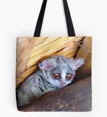 Hush Now... We're Trying To Sleep - Bushbaby - South Africa Tote Bag