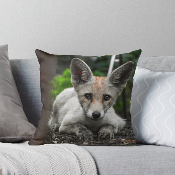 Item preview, Baby fox designed and sold by noahjpphotos.