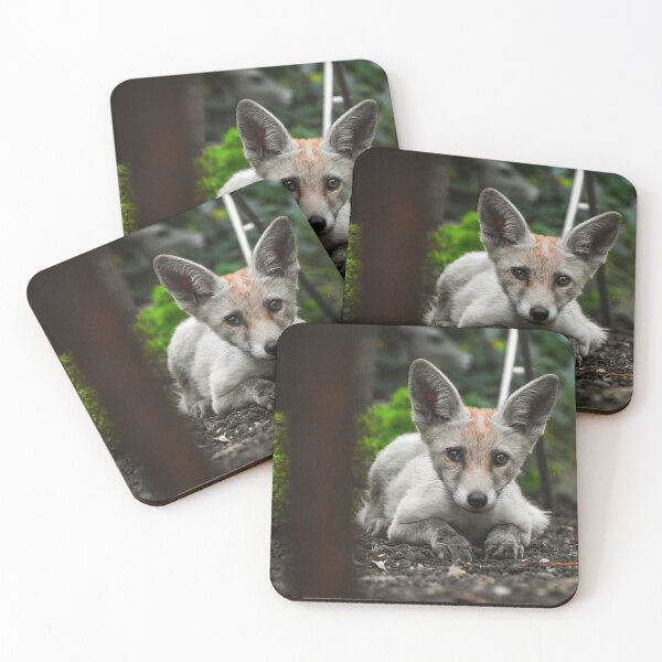 Item preview, Baby fox designed and sold by noahjpphotos.