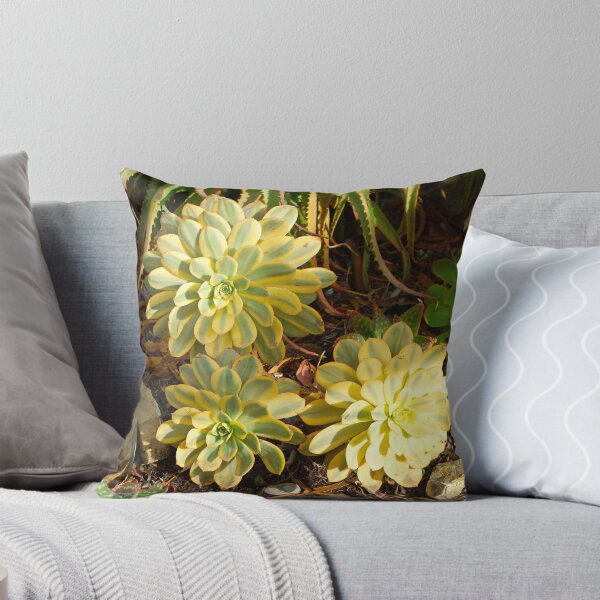 Item preview, Succulent Blooms designed and sold by Robert Meyers-Lussier.