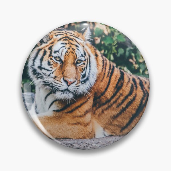 Item preview, Majestic Wild Tiger designed and sold by newburyboutique.