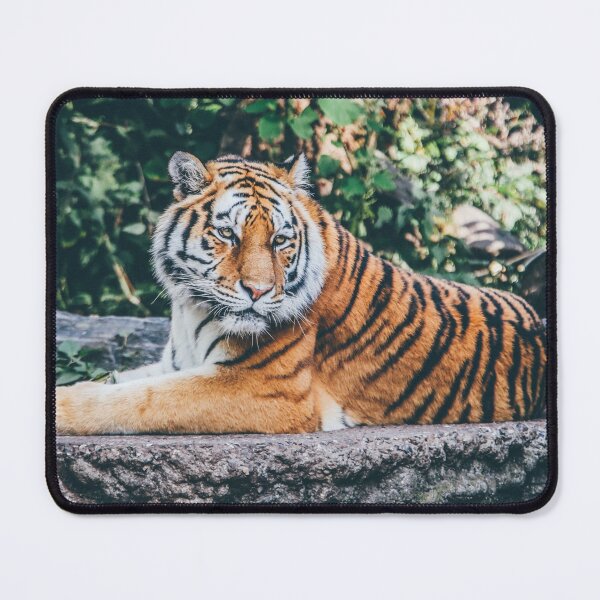 Item preview, Majestic Wild Tiger designed and sold by newburyboutique.