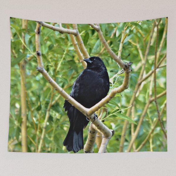 Item preview, Black Crown in Tree designed and sold by Nicole Kiefer.