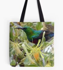 A Sweet Treat - Red-Chested Sun-bird SA Tote Bag