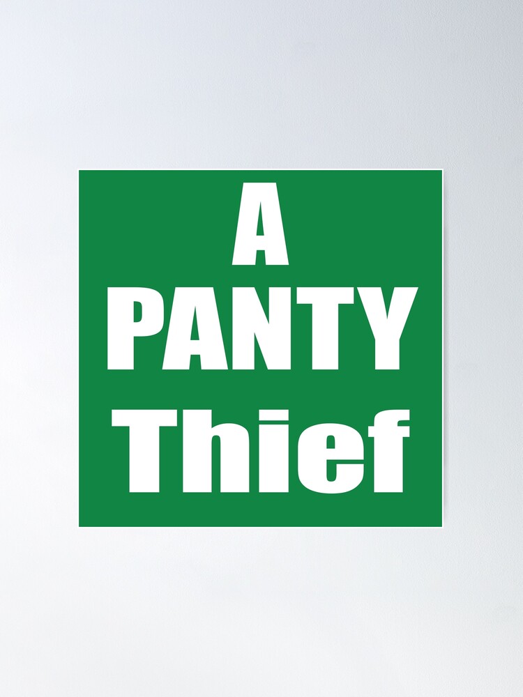 The Panty Thief