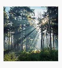 Hope Photographic Print