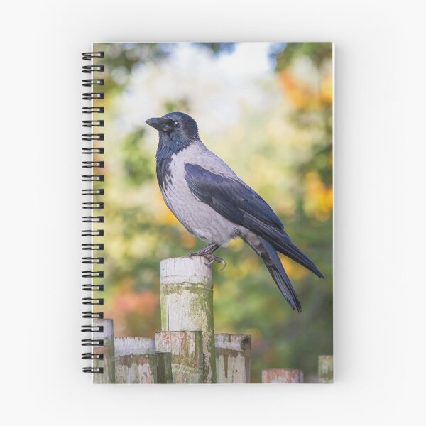 Item preview, Hooded Crow designed and sold by Dominika Aniola.