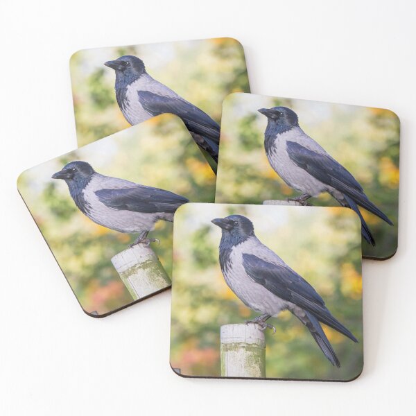 Item preview, Hooded Crow designed and sold by Dominika Aniola.