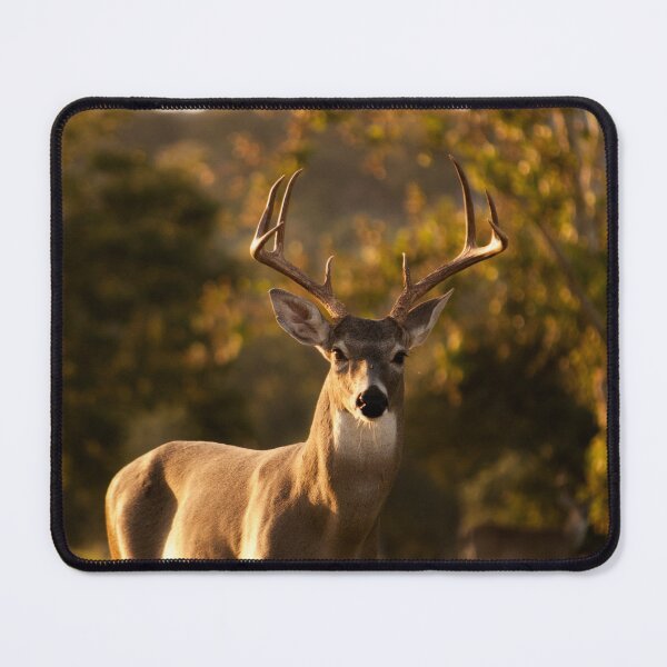 Item preview, Wild Deer designed and sold by newburyboutique.