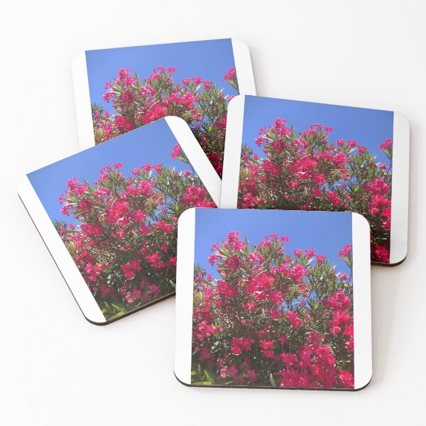 Item preview, Summer Bloom designed and sold by Meganifique.