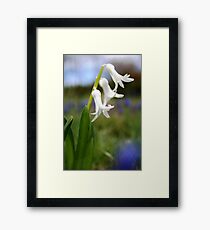 Jingle bells Framed Print