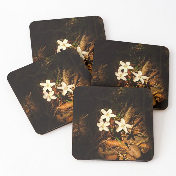 Item preview, Three White Flowers In The Forest designed and sold by Lovemountain.