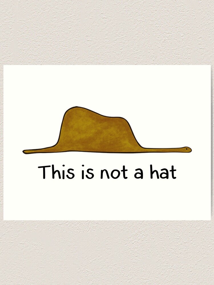 That's Not a Hat: OR IS IT?! 