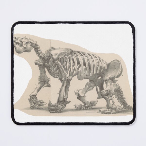 Item preview, Fossil Sticker designed and sold by OldasNew.