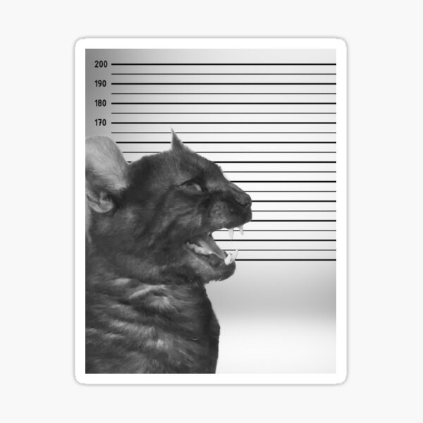 Mugshot de Meevin Sticker