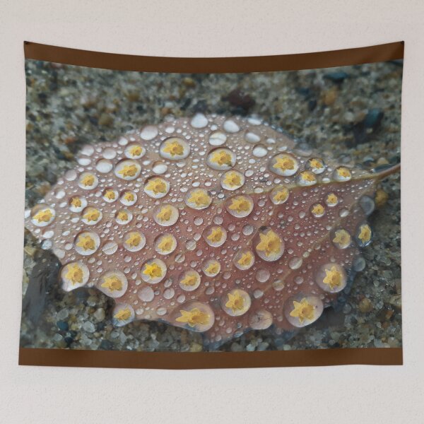 Item preview, The Fall of Spring Reflections designed and sold by cameoivory.