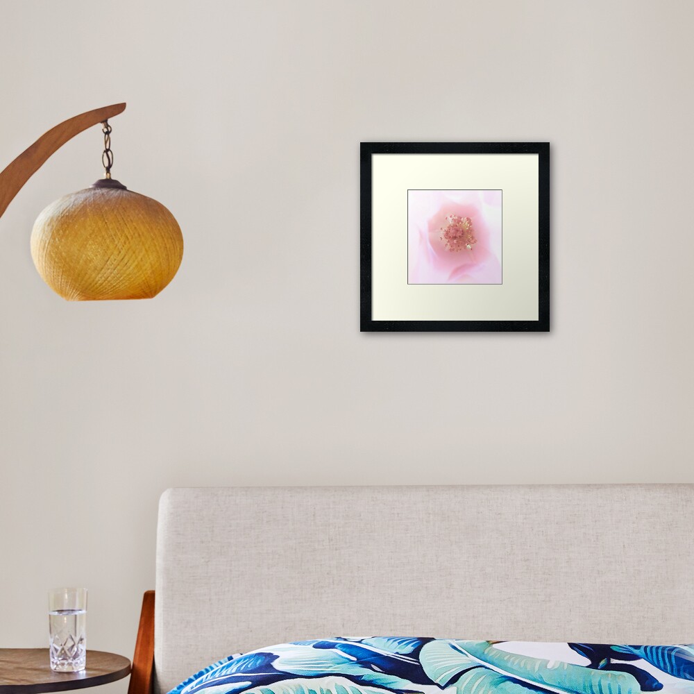 Ein Hauch von ..................Duft - Rose Gerahmter Kunstdruck