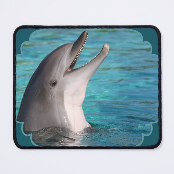 Item preview, Smiley Denny Dolphin designed and sold by LanaDevon.