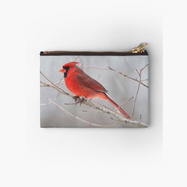 Item preview, Snowing again in Missouri designed and sold by barnsis.