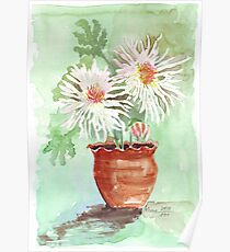 Pink Mums Poster