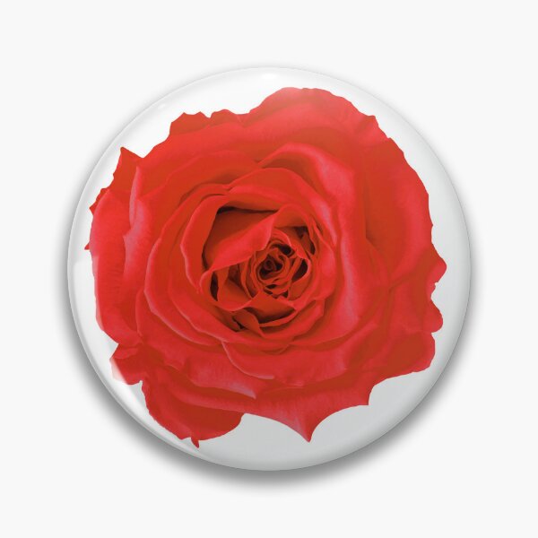 Item preview, Red Rose Photograph Cutout Hydro Laptop Sticker designed and sold by OneWorldLove.