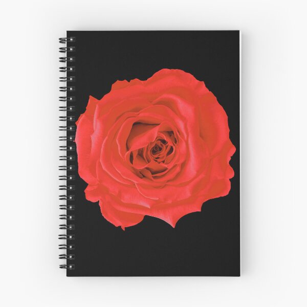 Item preview, Red Rose Photograph Cutout Hydro Laptop Sticker designed and sold by OneWorldLove.