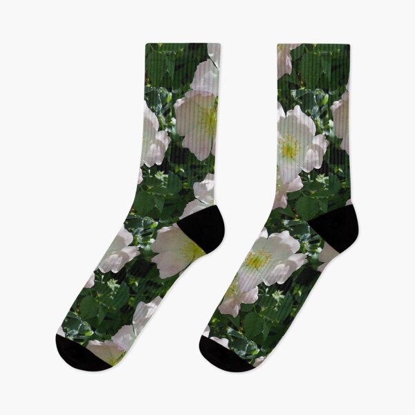 Item preview, Wild Rose designed and sold by amanda150771.