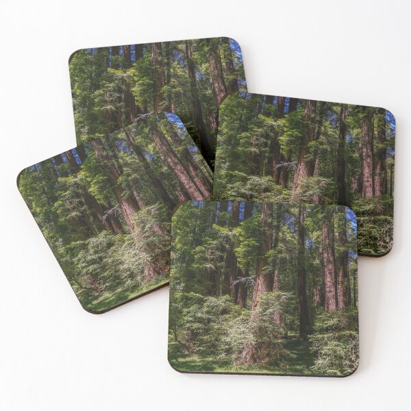 Item preview, Massive Redwood Trees in a Green Forest designed and sold by SafariByMarisa.