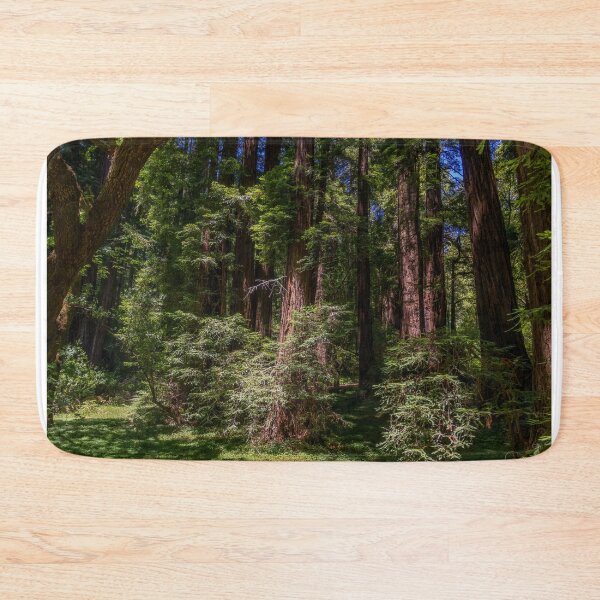 Item preview, Massive Redwood Trees in a Green Forest designed and sold by SafariByMarisa.