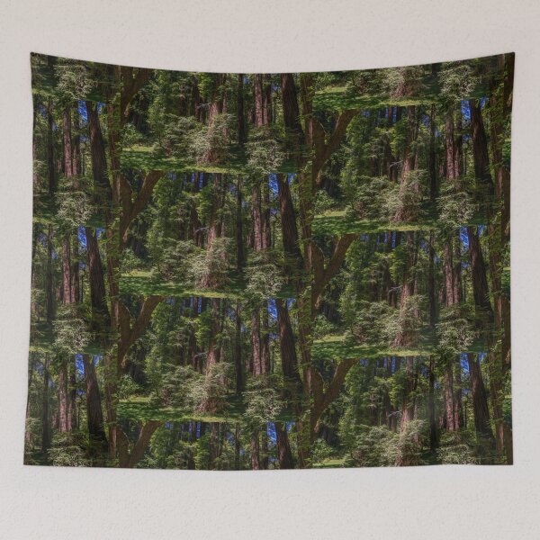 Item preview, Massive Redwood Trees in a Green Forest designed and sold by SafariByMarisa.