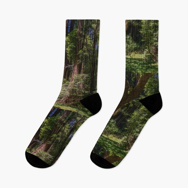 Item preview, Massive Redwood Trees in a Green Forest designed and sold by SafariByMarisa.