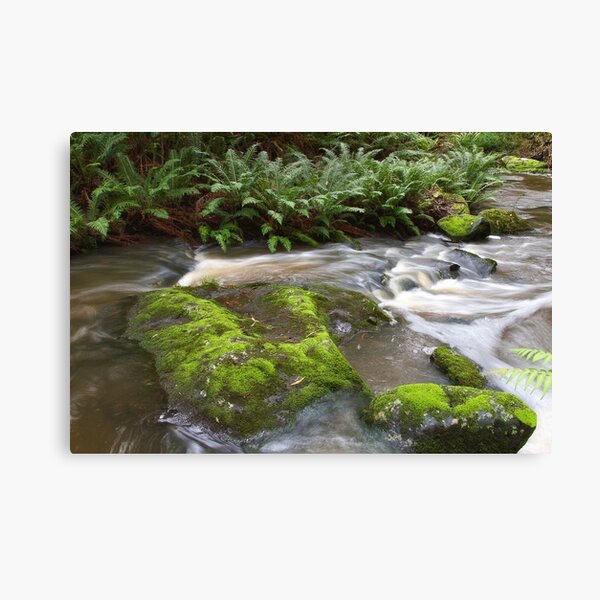 Item preview, 0324 Sheoak Creek 2 - Lorne designed and sold by Hans Kawitzki.
