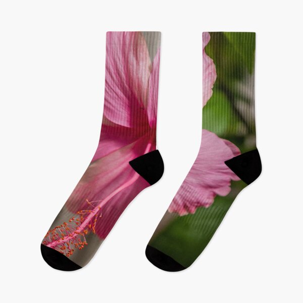 Item preview, Pink Hibiscus flower designed and sold by Kevin Hellon.