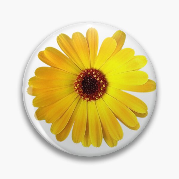 Item preview, Yellow African Daisy Photograph Cutout Hydro Laptop Floral Flower Sticker designed and sold by OneWorldLove.