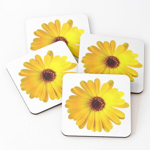 Item preview, Yellow African Daisy Photograph Cutout Hydro Laptop Floral Flower Sticker designed and sold by OneWorldLove.