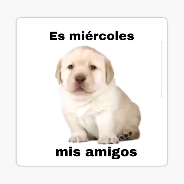 Wednesday miercoles English to Spanish Stickers