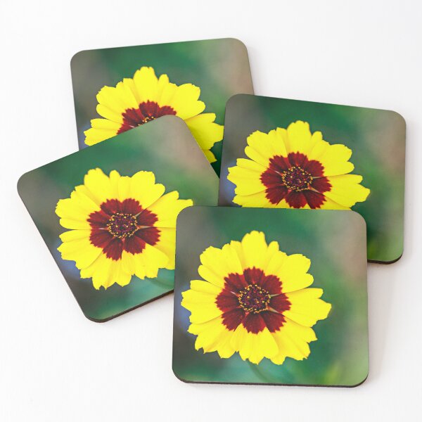 Item preview, Yellow Tickseed Flower designed and sold by jillianbutolphphoto.