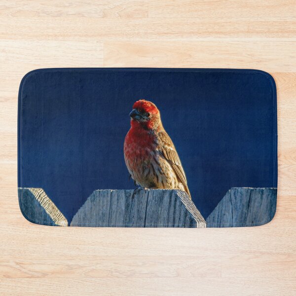 Item preview, Red House Finch designed and sold by jillianbutolphphoto.