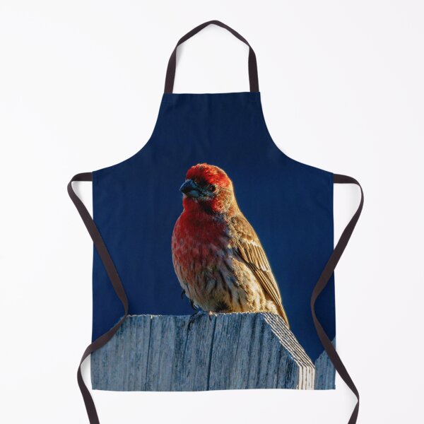 Item preview, Red House Finch designed and sold by jillianbutolphphoto.