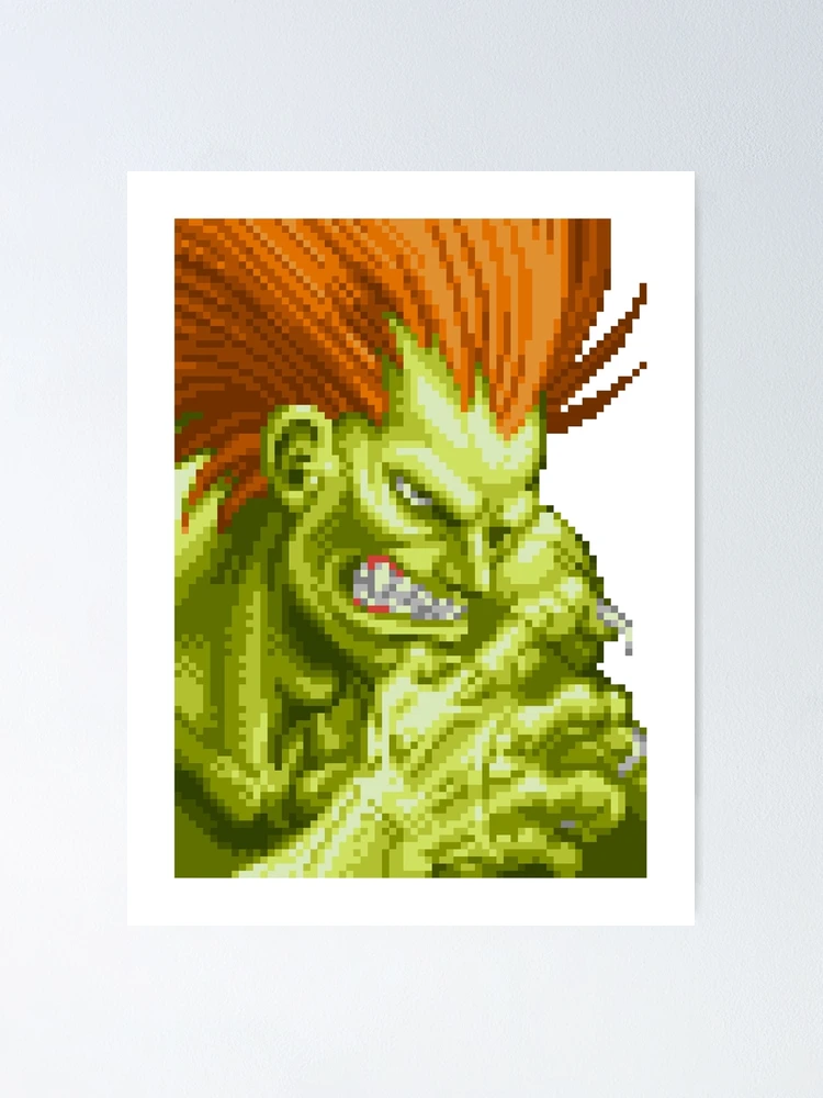 Super Street Fighter 4 Game Blanka Fabric Wall Scroll Poster (21x16) Inches  : : Home & Kitchen