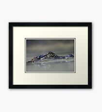 Reptile Framed Print