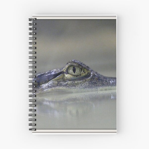 Item preview, Reptile designed and sold by willy92.