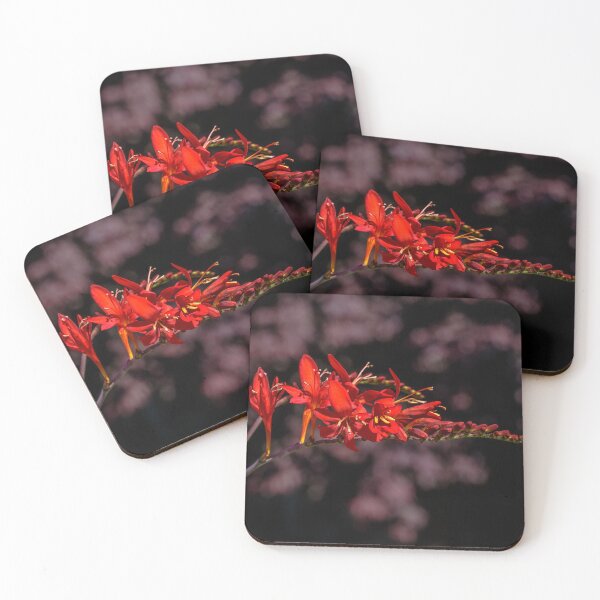 Item preview, Crocosmia & Maple designed and sold by jillianbutolphphoto.