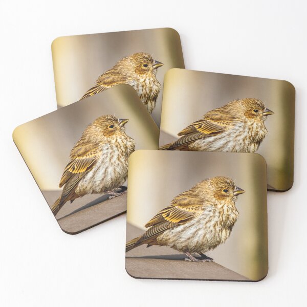 Item preview, Finch Sitting on Wood designed and sold by jillianbutolphphoto.