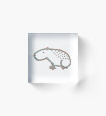 Capybara Acrylic Block