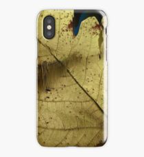 Decay iPhone Case/Skin