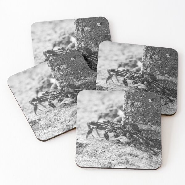 Item preview, Black and White Crab on Rocky edge in the tropics designed and sold by AlishaWatson.