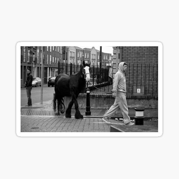 Man walking horse in Dublin Sticker