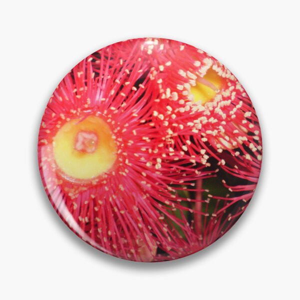 Item preview, Red Flowering Gum Australia designed and sold by suziq1962.